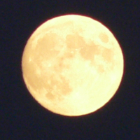 almafa64
