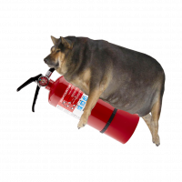 TootNoot